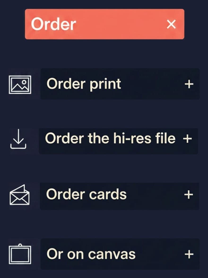 An Order panel listing a print, the hi-res file, cards and canvas
